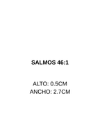 VERSÍCULOS