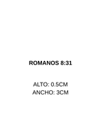 VERSÍCULOS