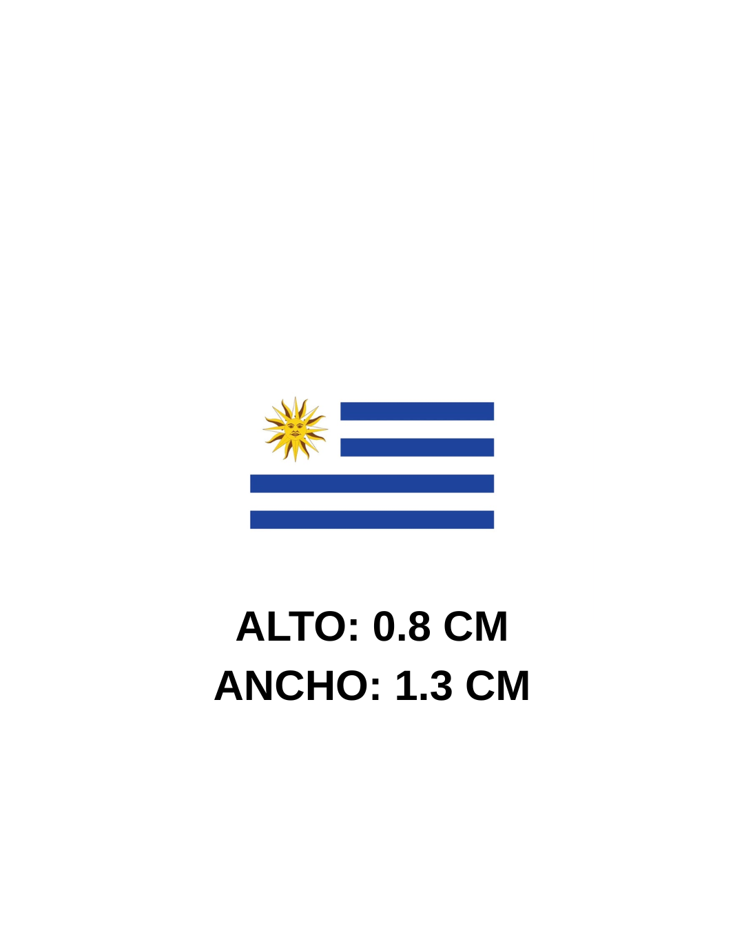 AMERICA DEL SUR
